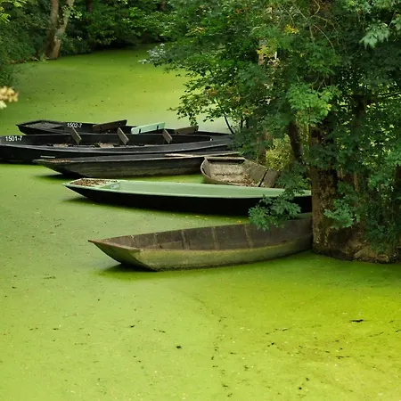 La Gauviniere 住宿加早餐酒店 Liez