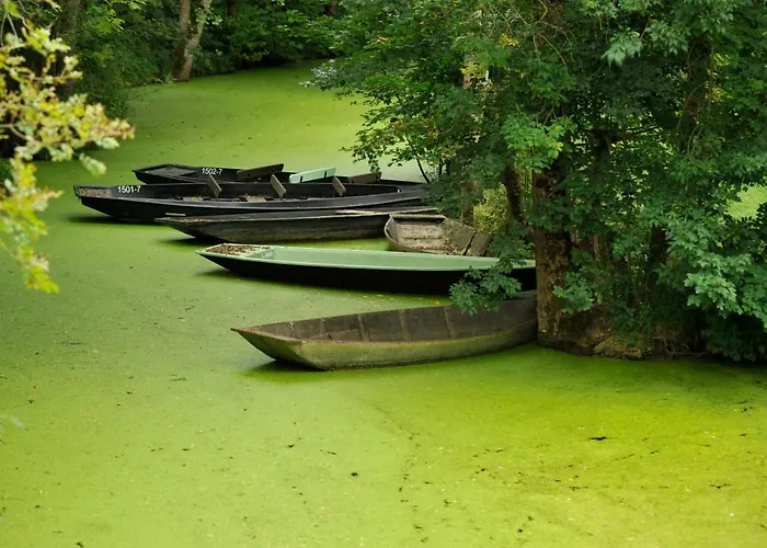 La Gauviniere Panzió Liez